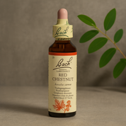 Bach Red Chestnut Nr. 25, 20 ml