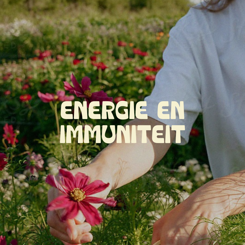 Energie &amp; Immuniteit