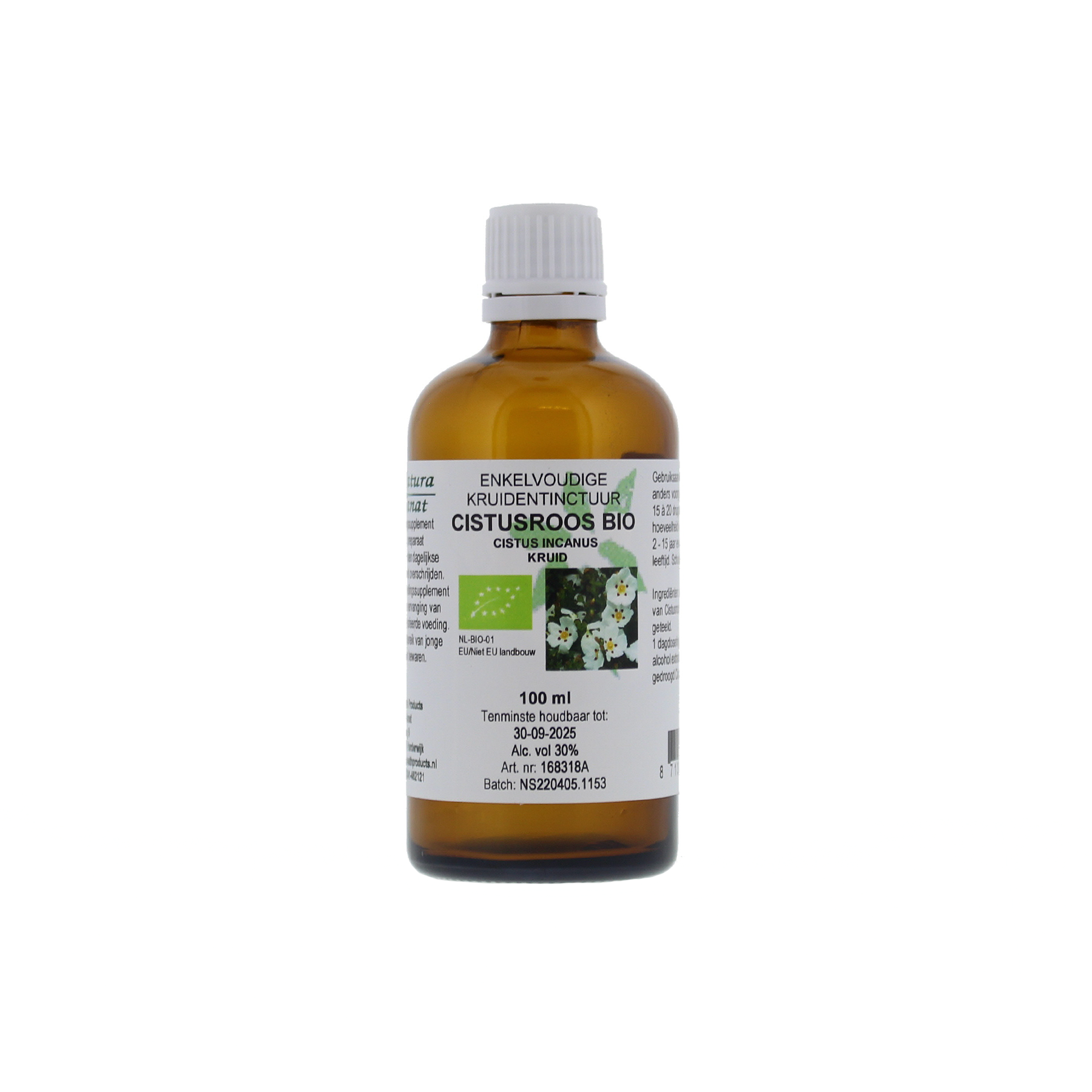 Cistus incanus hrb/Cistusroos BIO