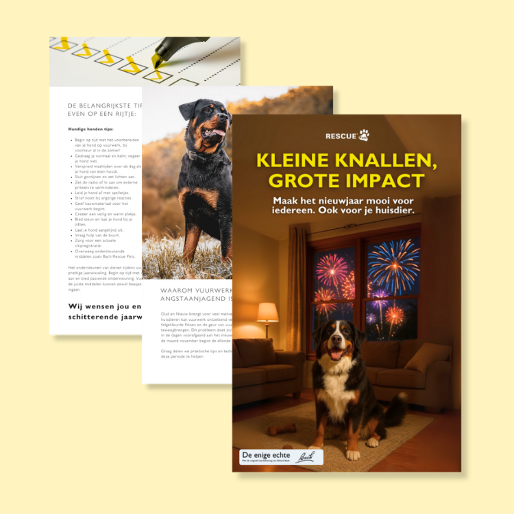 Kleine knallen, grote impact